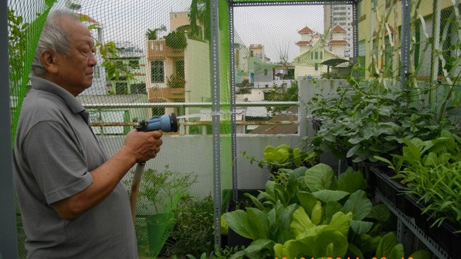Thuê 'kỹ sư osin' chăm sóc rau sạch tại gia - ảnh 1