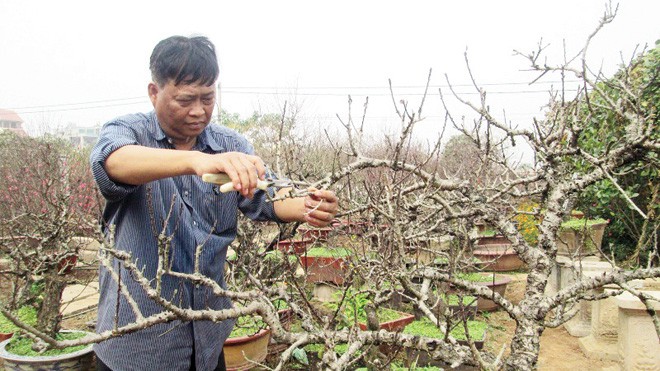 Săn lùng hàng độc ăn chơi tết - ảnh 2
