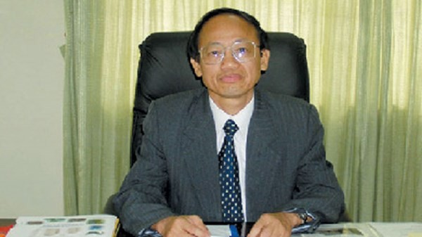 Cà gai leo giải độc gan - ảnh 1