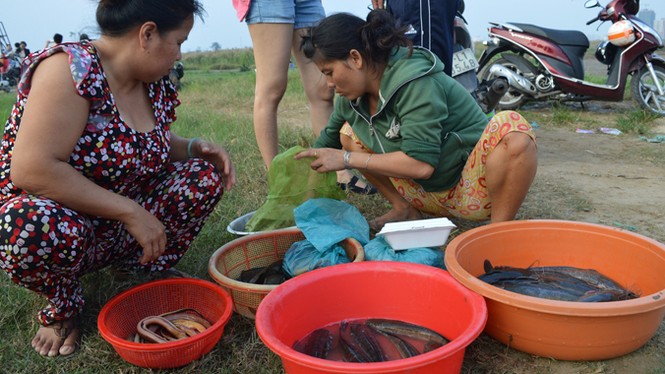 Thợ săn thành phố - bài cuối: Thân lươn bao quản lấm đầu… - ảnh 1
