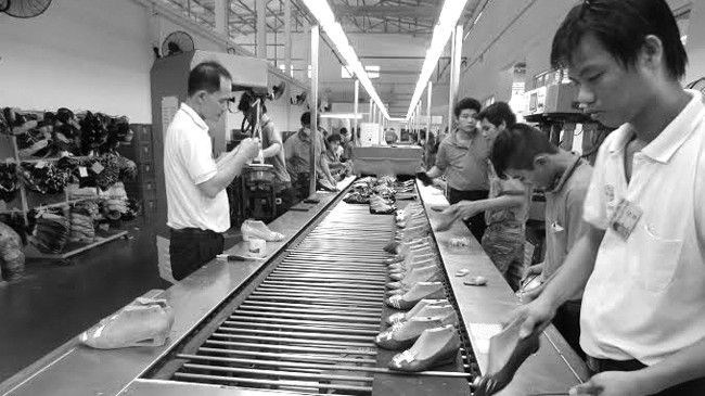 Phát triển nguyên phụ liệu da giầy là yêu cầu của hội nhập quốc tế - ảnh 1