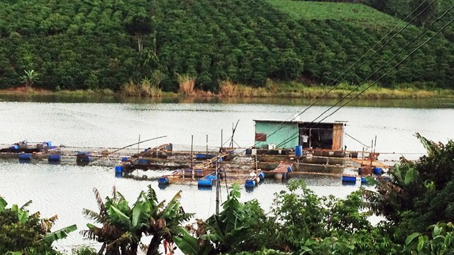 Ngọ 'sẹo' và lối về nẻo thiện - ảnh 2