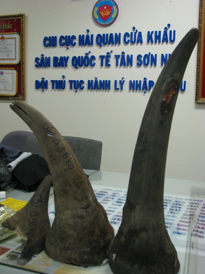Tê giác, lời ai điếu - ảnh 3