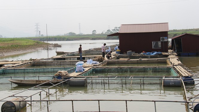 Nông dân tự tìm lối thoát - ảnh 1