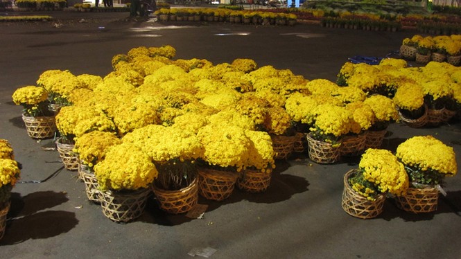 Đường hoa Nguyễn Huệ trước giờ khai hội - ảnh 11