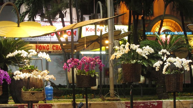 Đường hoa Nguyễn Huệ trước giờ khai hội - ảnh 4