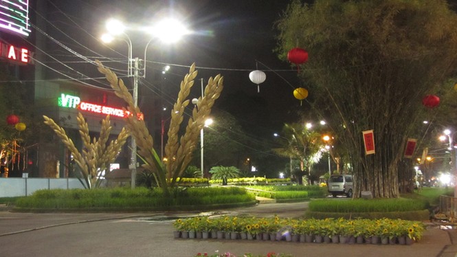 Đường hoa Nguyễn Huệ trước giờ khai hội - ảnh 5