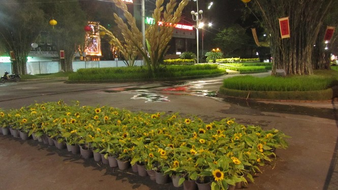 Đường hoa Nguyễn Huệ trước giờ khai hội - ảnh 8