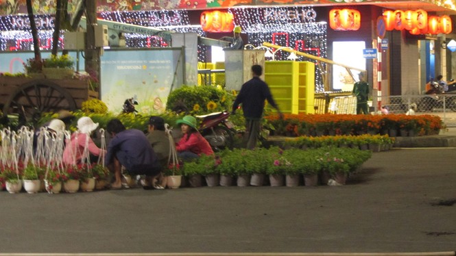Đường hoa Nguyễn Huệ trước giờ khai hội - ảnh 9