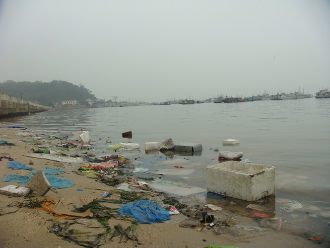 Hạ Long ô nhiễm vì rác - ảnh 1