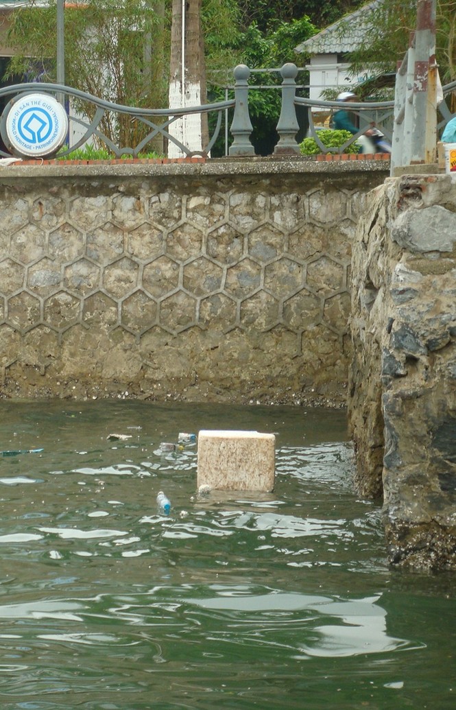 Hạ Long ô nhiễm vì rác - ảnh 4