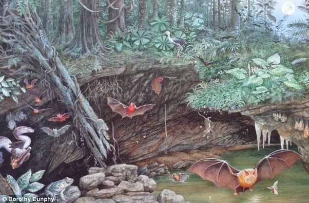 Tìm thấy mẫu tinh trùng hóa thạch có niên đại 17 triệu năm - ảnh 1