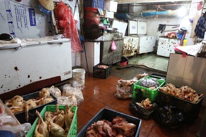 Tận mắt thấy 'gà bơm nước' giữa chợ - ảnh 1