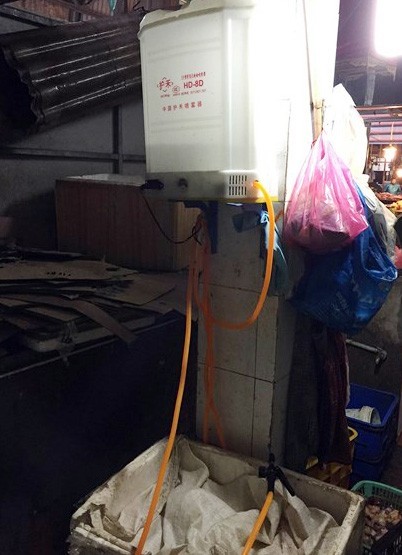 Tận mắt thấy 'gà bơm nước' giữa chợ - ảnh 2