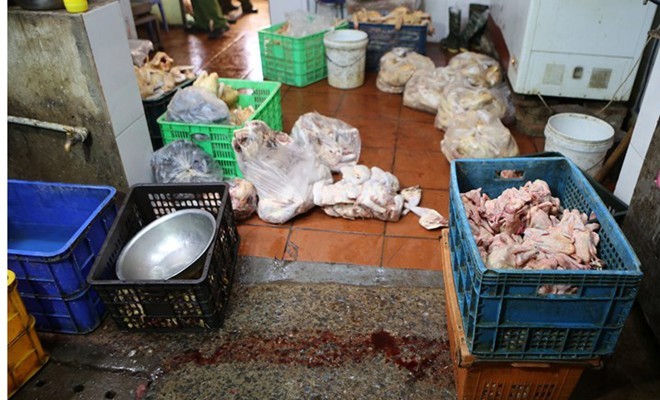 Tận mắt thấy 'gà bơm nước' giữa chợ - ảnh 6