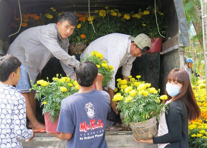 Chợ hoa kiểng Tết Cà Mau đắt khách - ảnh 2