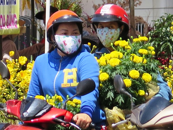 Chợ hoa kiểng Tết Cà Mau đắt khách - ảnh 3