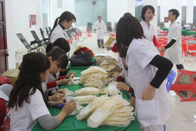 Nghệ An tưng bừng ngày hội Chủ Nhật Đỏ - ảnh 2