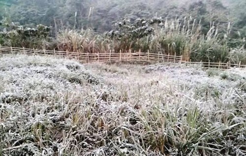 Băng giá bất ngờ xuất hiện ở Nghệ An - ảnh 1