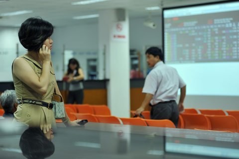 Nhà đầu tư nội phát sốt với cổ phiếu bầu Đức - ảnh 1