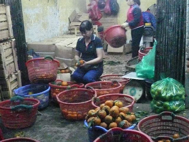 Kỹ nghệ 'hồi sinh' hoa quả thối hỏng - ảnh 1