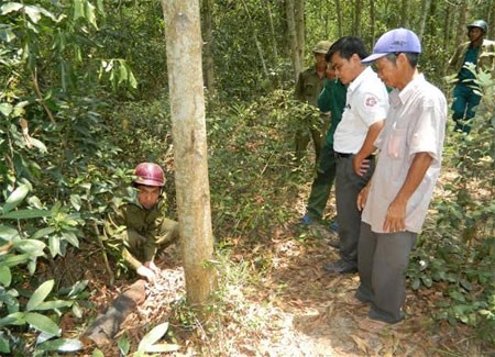 Một người thiệt mạng vì cưa đạn cối - ảnh 1