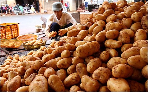 Nông sản Trung Quốc vẫn tràn ngập thị trường - ảnh 1