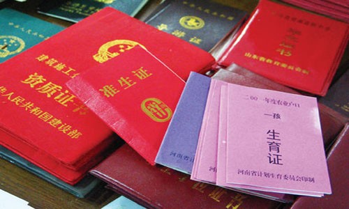 Muốn sinh cháu, phải trình giấy báo tử của ông - ảnh 1