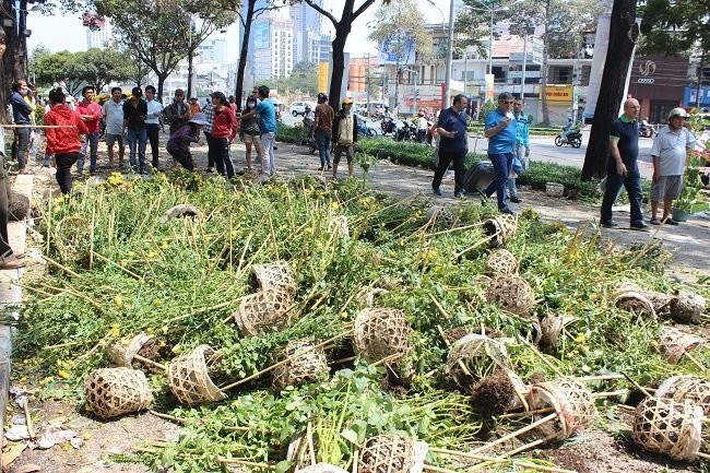 Người bán hoa Tết khóc ròng vì ế nặng - ảnh 4