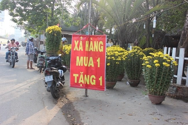 Người bán hoa Tết khóc ròng vì ế nặng - ảnh 6