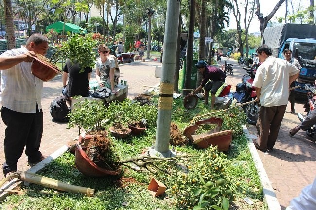 Người bán hoa Tết khóc ròng vì ế nặng - ảnh 9