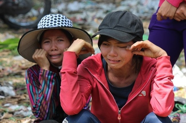 Người bán hoa Tết khóc ròng vì ế nặng - ảnh 1