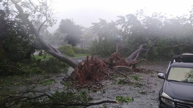 Bão Damrey ngày càng mạnh, áp sát Bình Định - Phú Yên - ảnh 46