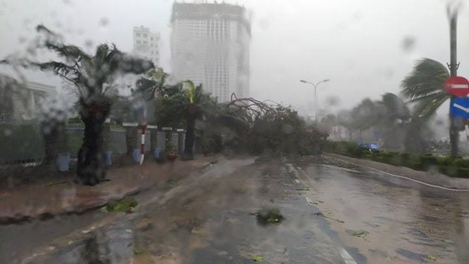 Bão Damrey ngày càng mạnh, áp sát Bình Định - Phú Yên - ảnh 48