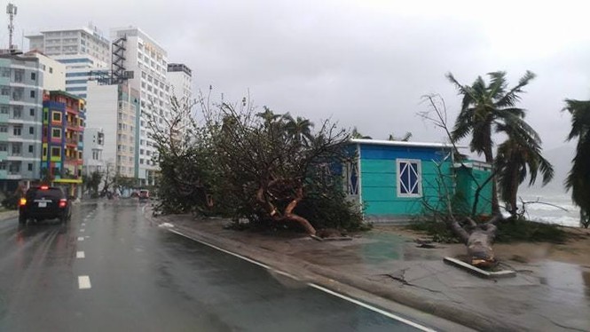 Bão Damrey ngày càng mạnh, áp sát Bình Định - Phú Yên - ảnh 37