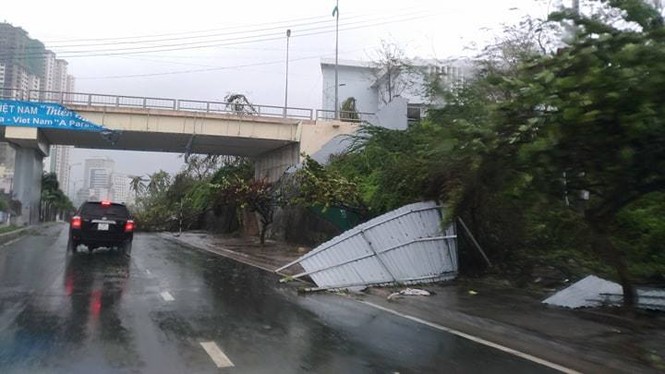 Bão Damrey ngày càng mạnh, áp sát Bình Định - Phú Yên - ảnh 39
