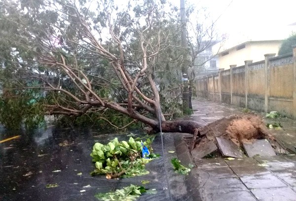 Bão Damrey ngày càng mạnh, áp sát Bình Định - Phú Yên - ảnh 49