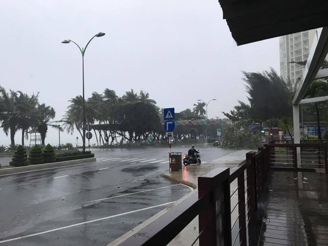 Bão Damrey ngày càng mạnh, áp sát Bình Định - Phú Yên - ảnh 74