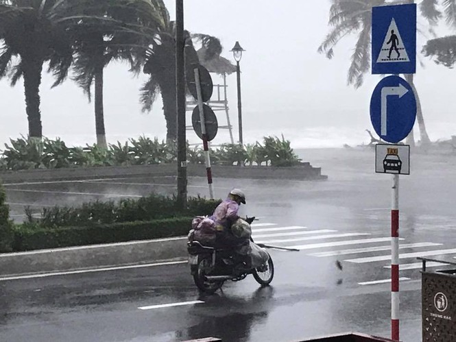 Bão Damrey ngày càng mạnh, áp sát Bình Định - Phú Yên - ảnh 75
