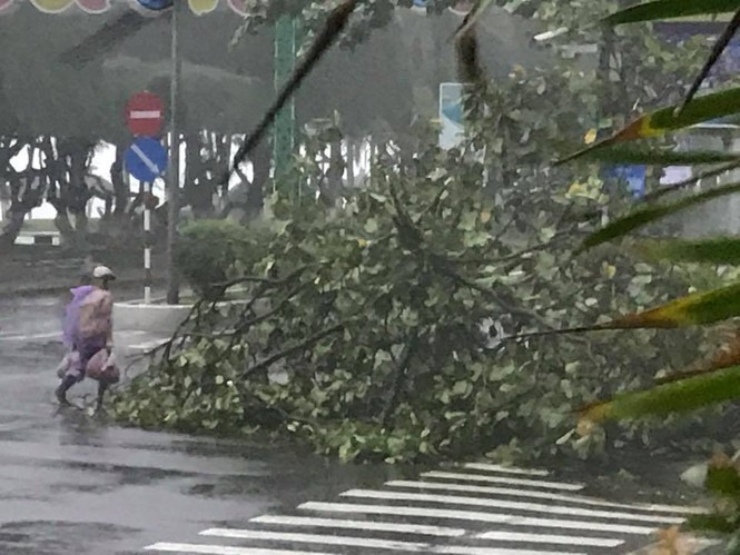 Bão Damrey ngày càng mạnh, áp sát Bình Định - Phú Yên - ảnh 77