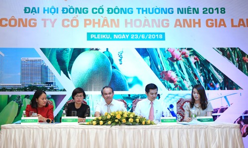Bầu Đức bị cổ đông phàn nàn vì giá cổ phiếu quá thấp - ảnh 2
