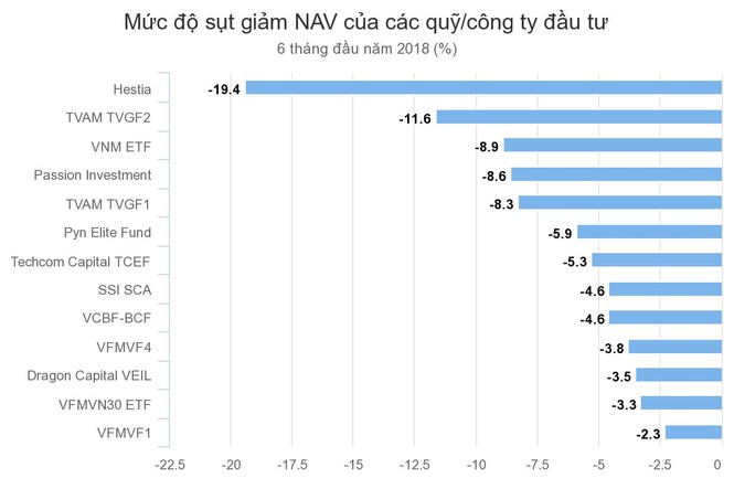 'Cá mập' chứng khoán cũng lao đao vì đà giảm của thị trường - ảnh 1