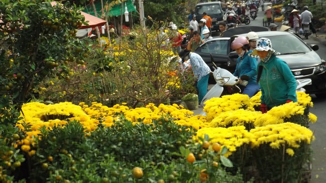 Chợ hoa ven sông nhộn nhịp cận Tết - ảnh 9