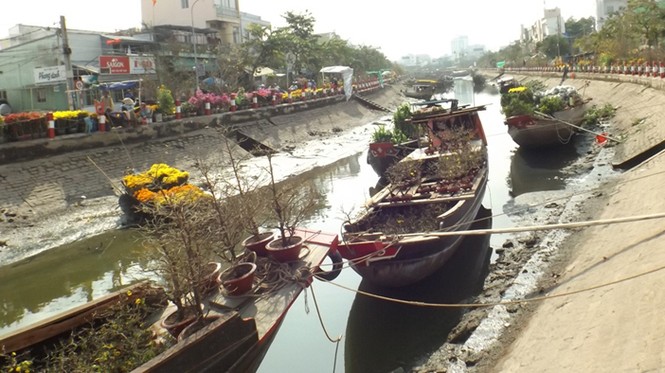 Chợ hoa ven sông nhộn nhịp cận Tết - ảnh 3