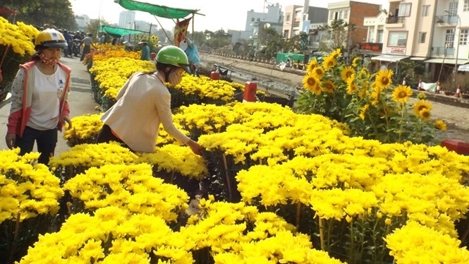 Chợ hoa ven sông nhộn nhịp cận Tết - ảnh 5