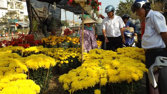 Chợ hoa ven sông nhộn nhịp cận Tết - ảnh 6