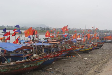 Hàng chục tỷ đồng mua cá sạch chờ ngày tiêu hủy - ảnh 2