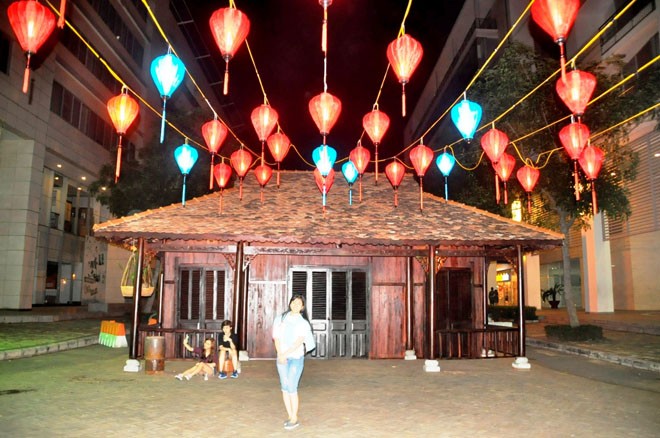 Đàn gà và cánh đồng lúa giữa lòng TPHCM - ảnh 9