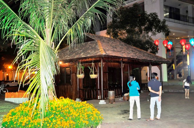 Đàn gà và cánh đồng lúa giữa lòng TPHCM - ảnh 8