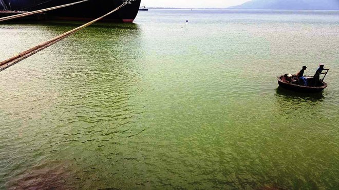 Nước biển vịnh Chân Mây vẫn vàng đục, dân chờ tìm nguyên nhân - ảnh 1